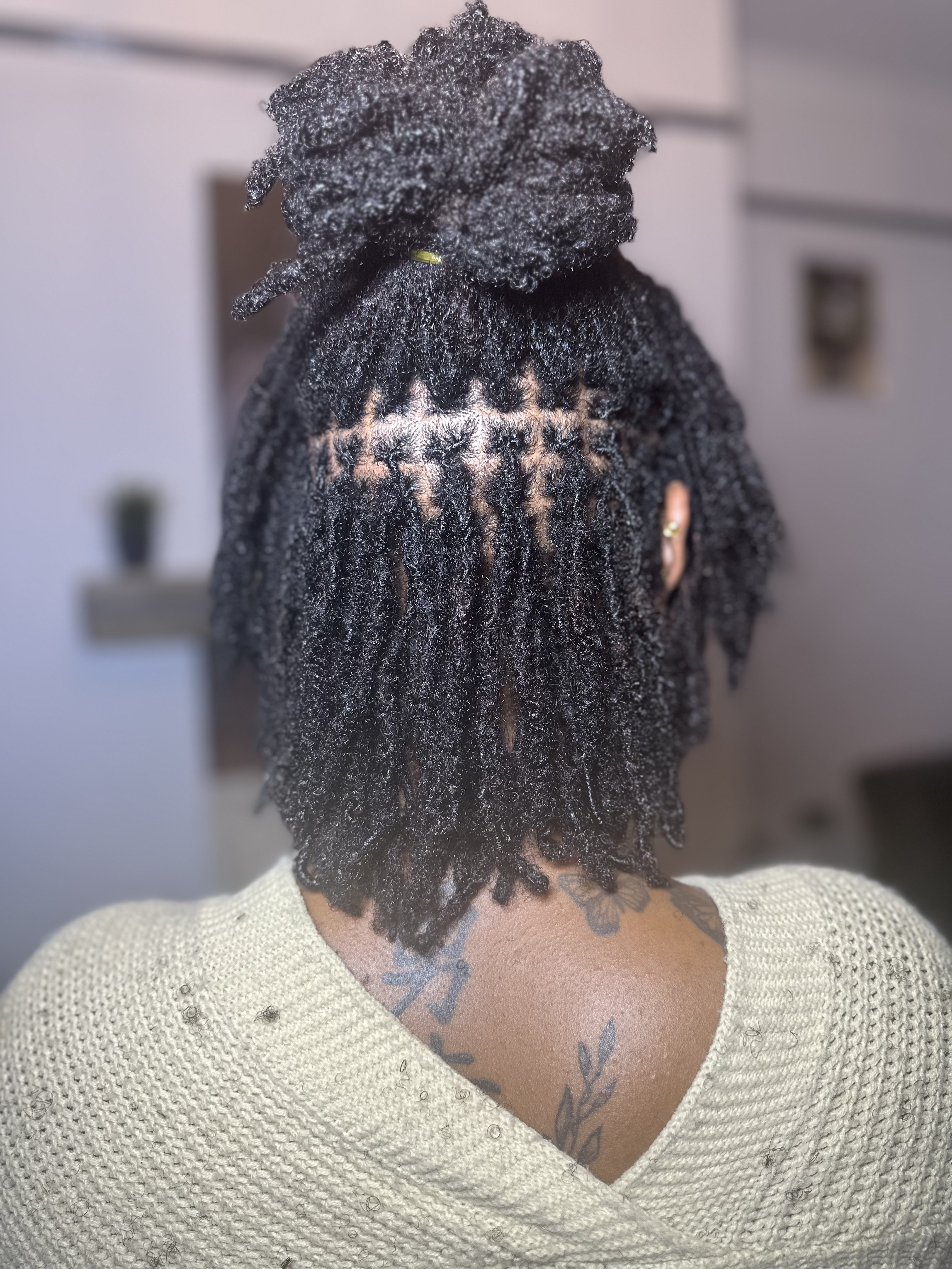 Mini Locs
